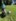 2024-08_Sonnenofen