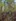 2022-11_Waldlabyrinth