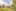 20260521-DSC00089