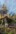2020-10_Schinterwald