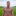JublasuriumTim-0172-4066x4066